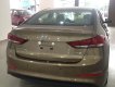 Hyundai Elantra 1.6 MT 2017 - Cần bán Hyundai Elantra 2017 giá tốt, hỗ trợ vay vốn 100%, liên hệ: 01887177000 Ninh Thuận