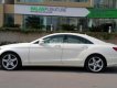 Mercedes-Benz CLS 350 2011 - Bán xe Mercedes Mercedes CLS350 model 2012, màu trắng, nhập khẩu nguyên chiếc