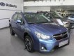 Subaru XV   2017 - Bán Subaru XV đời 2017, mới 100%