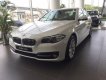 BMW 5 Series 520i 2016 - BMW Đà Nẵng bán xe BMW 5 Series 520i sản xuất 2016, màu trắng, nhập khẩu nguyên chiếc