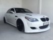 BMW M5   2007 - Bán BMW M5 đời 2007, xe đẹp