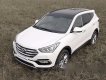 Hyundai Santa Fe 2017 - Bán xe Hyundai Santa Fe sản xuất 2017