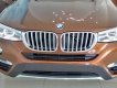 BMW X4 xDrive20i 2016 - BWM X4 màu nâu cánh gián - xDrive20i giao ngay tại Đà Nẵng