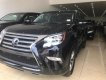 Lexus GX460   2017 - Bán ô tô Lexus GX460 đời 2017, màu đen, nhập khẩu chính hãng