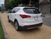 Hyundai Santa Fe     4WD   2014 - Bán Hyundai Santa Fe 4WD sản xuất 2014, xe đẹp không lỗi lầm