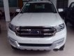 Ford Everest  Trend 2016 - Cần bán xe Ford Everest Trend màu trắng, giao ngay