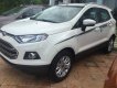 Ford EcoSport     2017 - Cần bán Ford EcoSport năm 2017 giá cạnh tranh