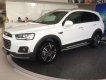 Chevrolet Captiva Revv LTZ 2.4 AT 2017 - Bán Chevrolet Captiva Revv 2017, hỗ trợ vay 100%, có xe giao ngay - Gọi Ms. Lam 0939 19 37 18