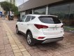 Hyundai Santa Fe CKD 2017 - Bán Hyundai Santa Fe dầu đặc biệt 2017, khuyến mại lên tới gần 100 triệu, đủ màu, giao xe ngay