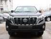 Toyota Prado TXL 2.7L 2017 - Cần bán xe Toyota Prado TX.L 2.7L 2017, màu đen, xe nhập