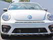 Volkswagen New Beetle 2017 - Bán xe Volkswagen new Beetle năm 2017, màu trắng, nhập khẩu. Nhận đặt cọc xe