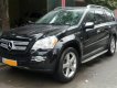 Mercedes-Benz GL 320 2009 - Bán Mercedes GL320 đời 2009, màu đen, xe nhập chính chủ