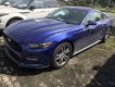 Ford Mustang 2016 - Bán Ford Mustang đời 2016, nhập khẩu