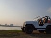 Jeep Wrangler   MT  1975 - Bán Jeep Wrangler MT đời 1975, giá chỉ 145 triệu