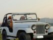 Jeep Wrangler   MT  1975 - Bán Jeep Wrangler MT đời 1975, giá chỉ 145 triệu