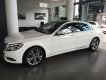 Mercedes-Benz S500  L 2017 - Cần bán xe Mercedes S500L 2017, màu trắng, nhập khẩu
