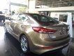 Hyundai Elantra 2017 - Bán xe Hyundai Elantra đời 2017, màu nâu, giá 625tr