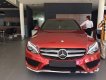 Mercedes-Benz A class A45 AMG 2016 - Bán ô tô Mercedes A45 AMG đời 2016, màu đỏ, xe nhập