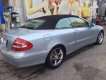 Mercedes-Benz CLK class SLK 320 2005 - Cần bán gấp Mercedes SLK 320 đời 2005, màu bạc, nhập khẩu chính chủ, 640tr