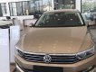 Volkswagen Passat E 2016 - Passat - Xe nhập khẩu Đức - Đẳng cấp Đức