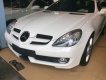 Mercedes-Benz SLK class 200 2010 - Cần bán Mercedes SLK 200 đời 2010, màu trắng đã đi 10000 km