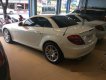 Mercedes-Benz SLK class 200 2010 - Cần bán Mercedes SLK 200 đời 2010, màu trắng đã đi 10000 km