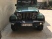 Jeep Wrangler 1995 - Bán ô tô Jeep Wrangler đời 1995, màu xanh lam, xe nhập số tự động 