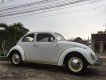 Volkswagen Beetle 1990 - Cần bán xe Volkswagen Beetle đời trước 1990, màu trắng, nhập khẩu nguyên chiếc, giá tốt