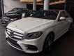 Mercedes-Benz E class E300 AMG 2017 - Bán ô tô Mercedes E300 AMG đời 2017, màu trắng