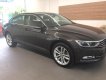 Volkswagen Passat GP 2017 - (VW Sài Gòn) Bán xe Volkswagen Passat GP 2017, màu nâu, xe nhập chính hãng. LH: 097.8877.754