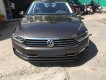 Volkswagen Passat GP 2017 - (VW Sài Gòn) Bán xe Volkswagen Passat GP 2017, màu nâu, xe nhập chính hãng. LH: 097.8877.754