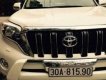 Toyota Prado 2016 - Cần bán gấp Toyota Prado đời 2016, nhập khẩu nguyên chiếc