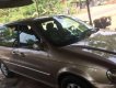 Kia Carnival 2009 - Cần bán xe Kia Carnival đời 2009, màu vàng số tự động, 340tr