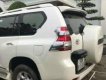 Toyota Prado 2016 - Cần bán Toyota Prado đời 2016, màu trắng, nhập khẩu nguyên chiếc còn mới