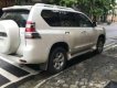 Toyota Prado 2016 - Cần bán gấp Toyota Prado đời 2016, nhập khẩu nguyên chiếc