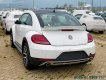 Volkswagen Beetle Dune 2017 - Bán ô tô Volkswagen Beetle Dune đời 2017, màu trắng, xe nhập giao ngay - Hotline: 0909 717 983