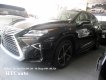 Lexus RX350 AWD 2017 - Lexus RX350 AWD đời 2017 màu đen