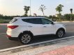 Hyundai Santa Fe CRDI 2014 - Cần bán xe Hyundai Santa Fe CRDI đời 2014, màu trắng, nhập khẩu Hàn Quốc