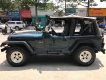 Jeep Wrangler MT 1995 - Cần bán lại xe Jeep Wrangler đời 1995, màu xanh lam, nhập khẩu số sàn