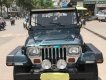 Jeep Wrangler MT 1995 - Cần bán lại xe Jeep Wrangler đời 1995, màu xanh lam, nhập khẩu số sàn