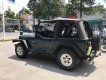 Jeep Wrangler MT 1995 - Cần bán lại xe Jeep Wrangler đời 1995, màu xanh lam, nhập khẩu số sàn