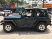 Jeep Wrangler MT 1995 - Cần bán lại xe Jeep Wrangler đời 1995, màu xanh lam, nhập khẩu số sàn