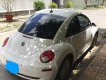 Volkswagen Beetle 2.5 2007 - Bán xe Volswagen Beetle 2.5 năm 2007, màu trắng, nhập khẩu