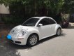 Volkswagen Beetle 2007 - Bán ô tô Volkswagen Beetle đời 2007, màu trắng, nhập khẩu