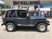 Jeep Wrangler 1995 - Bán xe Jeep Wrangler đời 1995, xe nhập số sàn giá cạnh tranh