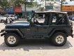 Jeep Wrangler 1995 - Bán xe Jeep Wrangler đời 1995, xe nhập số sàn giá cạnh tranh