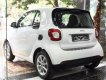 Smart Fortwo 1.0L 2017 - Bán Smart Fortwo 1.0L đời 2017, màu trắng, xe nhập