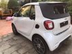 Smart Fortwo Brabut  2017 - Bán Smart Fortwo Brabut đời 2017, màu trắng, nhập khẩu