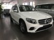 Mercedes-Benz GLK Class  GLC300 2017 - Bán Mercedes GLC300 năm 2017, màu trắng, nhập khẩu