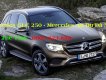 Mercedes-Benz GLC-Class GLC 250 2017 - Bán Mercedes GLC 250 sản xuất 2017, màu trắng, nhập khẩu